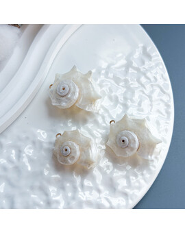 Ракушка белая 25-40 мм, изображение 1